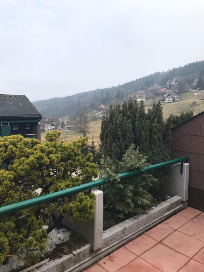 Ferienwohnung Im Terrassenpark Sasbachwalden Brandmatt エクステリア 写真